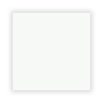 Piso Brilhante Bianco 769786 61×61 Extra – Triunfo - Santa Cruz Acabamentos